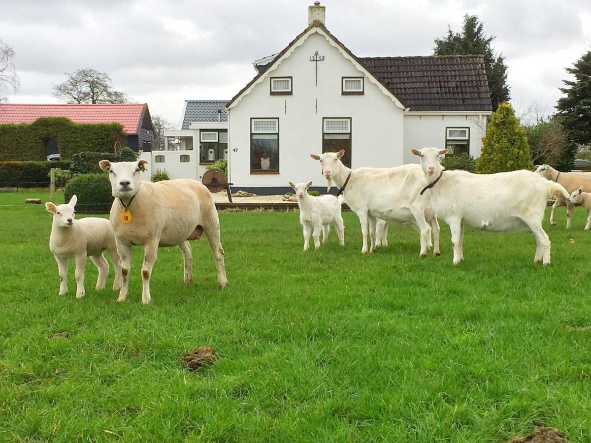 Locatie Het Knooppunt Engelse Chalet Nuis Bagian luar foto